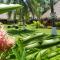 Paraiso Beach Hotel