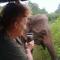 Nature lovers Safari & Resort