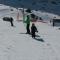 Montagne Duplex-Orelle 9 pers. avec SPA