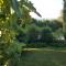 Rêve de Provence Villa avec jardin et piscine