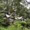 Moselberg Riverside Cottages - Munnar