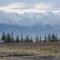 Grey Ridge Vineyard Experience