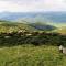 Pakamisa Private Game Reserve - Pongola
