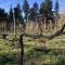 Windrush on Hogsback