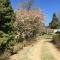 Windrush on Hogsback