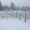 Windrush on Hogsback