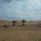 Sahara Desert Camp - Adrouine