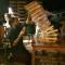 Bushpig Backpacker Hostel