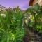 Janis Place Cottage by Purely