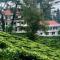 Sourenee Tea Estate - Mirik