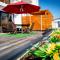 Modern Beachfront with swimming pool- 27 Azure, Blouberg, Cape Town