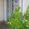 Le Zanchettin photo 11