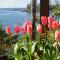 Reef Point Oceanfront Bed and Breakfast - Ucluelet