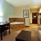 Holiday Inn Express - Eunice by IHG