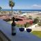Haig's Dream Flat On The Beach