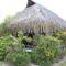 Fare Edith Moorea