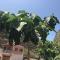 Guest House Frontera