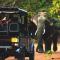 Yala Leopard Mobile Camp