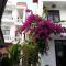 Hoi An Rustic Villa