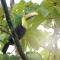 The Sunset Tucano Lodge