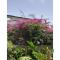 Villa bleue