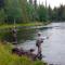 Cottage On Wild River In Lapland/Sweden - Karlsten