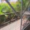 Dolphin Inn Guesthouse & Apartments