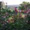 Andrea Wellness Garden