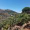 Casa Algill - Torrox