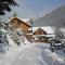 Chalet Steiermark - Pusterwald