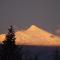 Woodcrest Bed and Breakfast