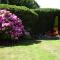 Yr Hen Felin - The Old Mill B&B