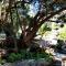 Little Sanctuary