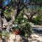 Montagu Little Sanctuary - Hot Spring Access at reduced price - Montagu