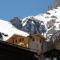 Chalet Schönbühl