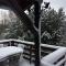 Chalet Braunkopf ALSACE - 穆巴赫索蒙斯特