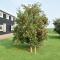 Foto: Cozy Apartment in Burgerbrug Netherlands with Meadow view 7/39