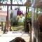 Birdcage Gay Men Resort and Lifestyle Hotel