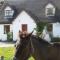 Letterfrack Mountain Farm Cottage on farm in village centre