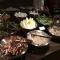 Jinling Grand Hotel Nanchang