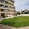 Haig's Dream Flat On The Beach