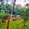 Sun Farm House - Auroville