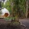 Cabañas Ensenada Bosque Nativo