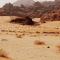 Desert Bird Camp