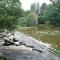 le moulin de froment photo 23