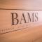 HostGost Selected Suites - BAMS, Private Spa included - Bělehrad
