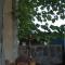 Guest House Nima