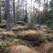 Merekalda Accommodation - Adults Only