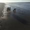L'instant - Cayeux-sur-Mer