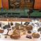 Le Train Des Reves photo 17